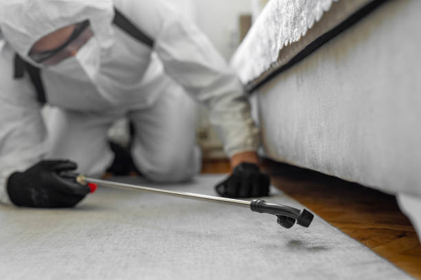 Professional Termite Control technician working in Covington, IN