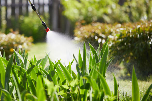 24/7 Emergency Termite Control experts in Covington, IN