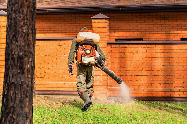 Top rated local Termite Control specialists in Covington, IN